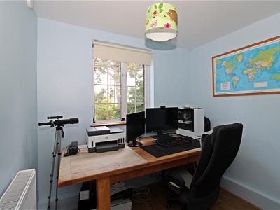 Picture 15